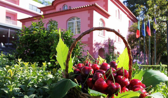 HOTEL QUINTA DA SERRA BIO HOTEL Câmara de Lobos