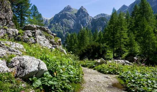 NATURHOTEL EDELWEISS Wagrain