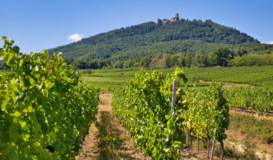 HÔTEL MUNSCH Saint Hippolyte