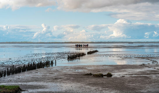 HOTEL & RESTAURANT NORDSTERN - WELLNESS AM MEER Neuharlingersiel