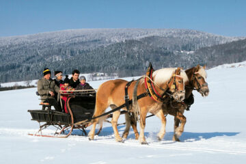 GASTHOF ROSSLWIRT Strass im Attergau