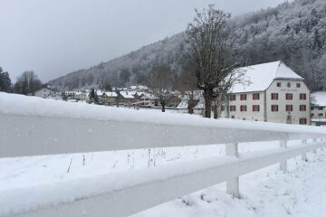 AUBERGE DE BELLELAY - HOTEL DE L'OURS (B&B) Saicourt